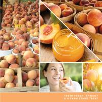 Yankee Candle Farm Fresh Peach Large Jar Extra Image 3 Preview